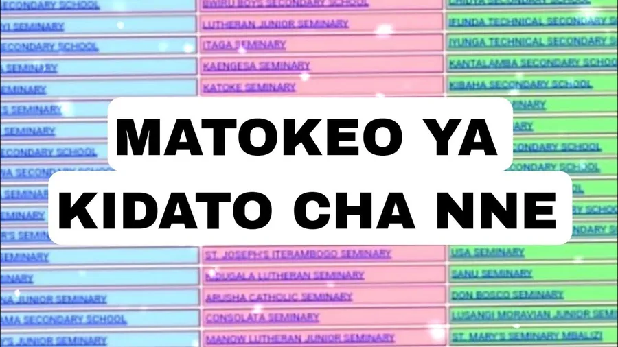 Matokeo ya Kidato cha Nne 2025/2026 – NECTA CSEE Form Four Results dashboard screenshot