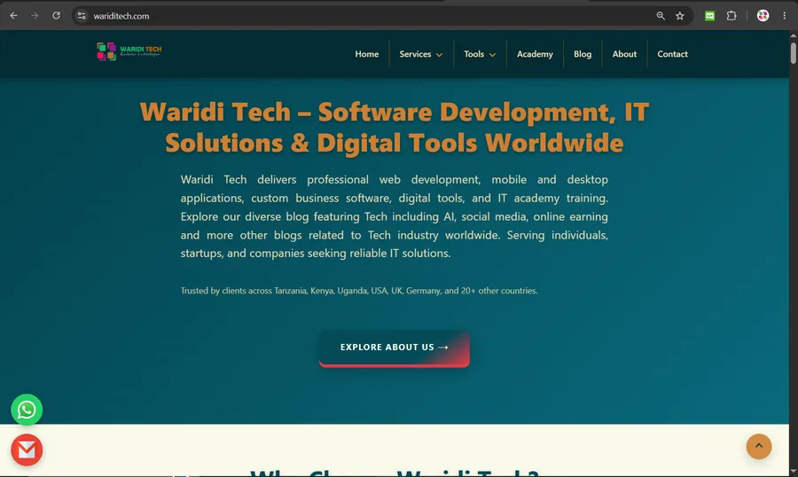 Best website developer in Moshi Kilimanjaro building a fast SEO ready business website