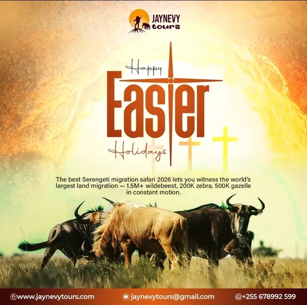 Easter Poster Easter holiday celebration graphic design
