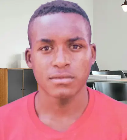 Michael Tossi, Lead Developer